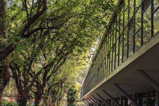S&atilde;o Paulo, Brazil. Oscar Niemeyer's modern architecture and the nature of Ibirapuera Park.