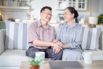 A cheerful elderly couple sitting together on a cozy sofa, holding hands and smiling warmly. They enjoy their peaceful moments together, embodying love, companionship, and happiness in their home.