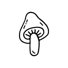 Mushroom is wildlife. Healthy food. Doodle. Vector illustration. Hand drawn. Outline.