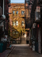 Mistery in the street