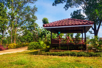 looks like a wooden gazebo in the garden, on a sunny day