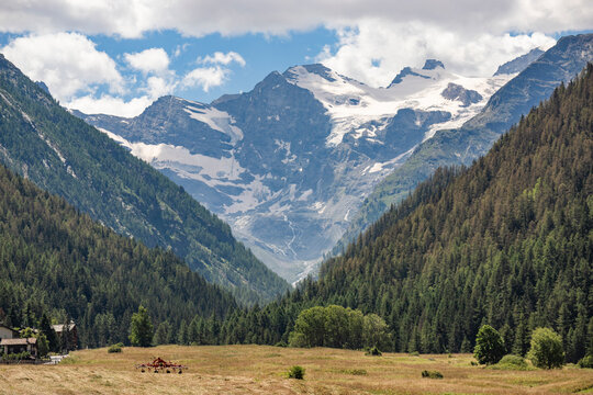View of majestic mountains and serene valley with lush forest and picturesque meadow, Val Paradiso National Park, Aosta, Italy.