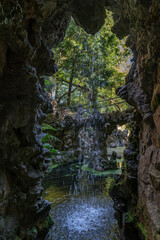 Water cascading through rocky formations in a serene forest setting during daylight