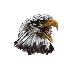Eagle Bird vector design 