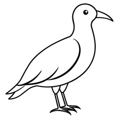 illustration of a bird
