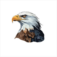 Eagle Bird vector design 