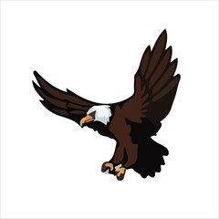 Eagle Bird vector design 