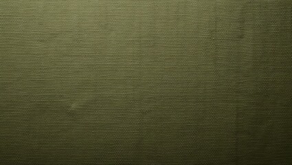 Olive green canvas fabric with tight weave and textured surface
