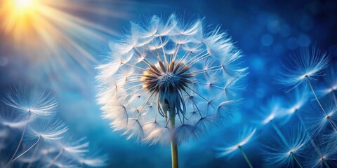Dandelion seeds illuminated by warm sunlight against a vibrant blue sky with soft bokeh background.