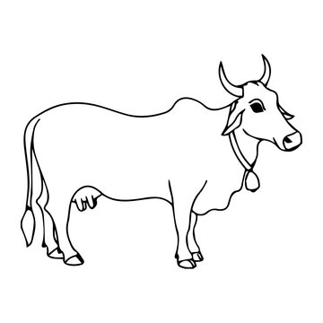 recommend clip art: Hand drawn Cow outline illustration