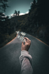The power and beauty of nature in the hands of women