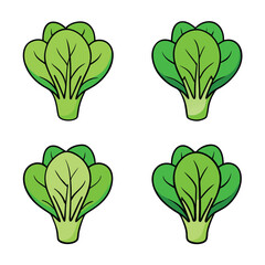 Lettuce leaf in flat style. Vector illustration isolated on white background.