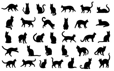 Set of cats silhouette in different poses. Hand drawn black cats  isolated on white background. Vector illustration of Halloween decorative elements for design decor.
