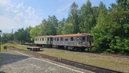 Fototapeta premium Vintage train on railway tracks surrounded by trees on a sunny day