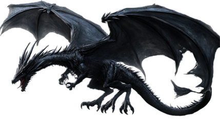 Black and white dragon illustration featuring a detailed black dragon head against a contrasting background, embodying a mythical creature with wings in a fantasy style