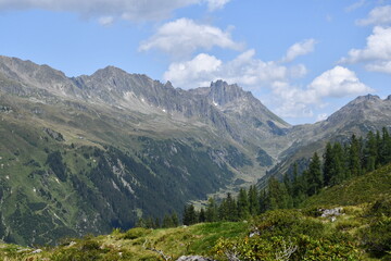 Fototapeta premium Alpine Berglandschaft mit grünen Tälern und Nadelbäumen unter blauem Himmel