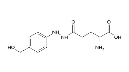 agaritine molecule, structural chemical formula, ball-and-stick model, isolated image hydrazine-derivative mycotoxin