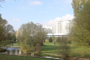 autumn in the landscape park Yuzhnoye Butovo, Moscow, October 2024, 2