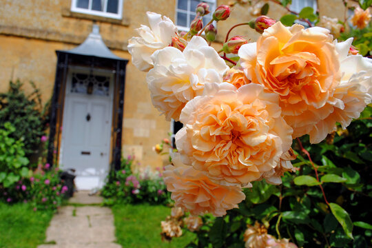 Blockley Village Cottage Cotswolds Gloucestershire
