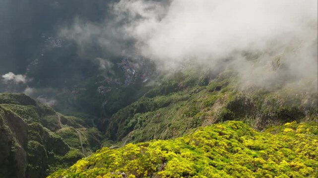 Aerial drone view of Curral das Freiras village from Miradouros do Paredao with blooming yellow Cytisus shrubs, Madeira island, Portugal