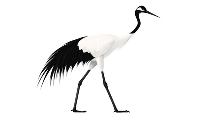 Obraz premium An elegant crane with long legs and a slender neck isolated on a transparent background, PNG 