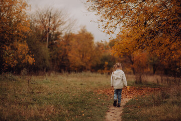 little girl walking in beautiful autumn park. happy child walking among yellow orange trees, holidays, cool weather, vacation. family and children's leisure, outdoor activities