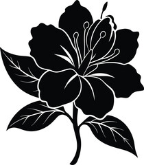 Black vector silhouette of an Azalea flower, detailed and elegant, perfect for clipart and design elements.