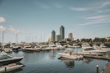 A marina filled with numerous boats and yachts, anchored in calm waters