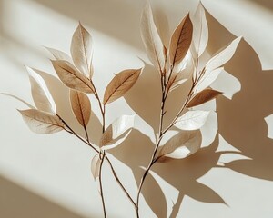 Two leaves that are on the stem of a plant - Nature