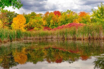 Fall color with pond