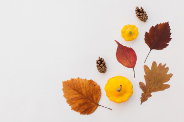 Autumn holiday frame composition with pattern made of leaf, punpkins, dried orange, pine cone on...