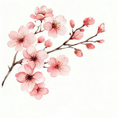 A cute watercolor cherry blossom branch with soft pink flowers, leaving space for copy