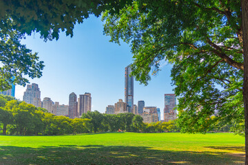 Central Park with Manhattan skyscrapers on the background