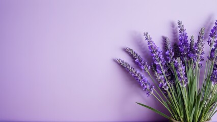 The lavender pastel purple aesthetic background brings a soothing and serene feel, perfect for any space needing a soft, cute lavender background with a minimal yet beautiful appeal