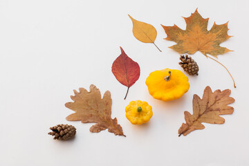 Autumn holiday frame composition with pattern made of leaf, punpkins, dried orange, pine cone on...