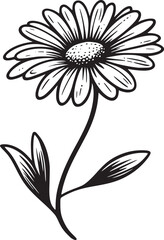 This is an illustration of flowers in a simple and modern line art style.