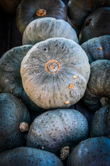 Leckor Kürbis, Cucurbita Maxima, Speisekürbis, Kürbis, Ernte, Herbst, Herbstmarkt, Herbstfarbe, Nordwestschweiz, Schweiz