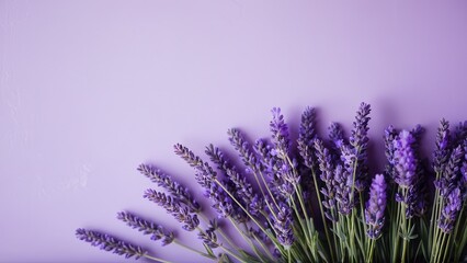 Obraz premium The lavender pastel purple aesthetic background brings a soothing and serene feel, perfect for any space needing a soft, cute lavender background with a minimal yet beautiful appeal