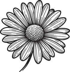 This is an illustration of flowers in a simple and modern line art style.
