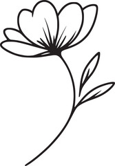 This is an illustration of flowers in a simple and modern line art style.
