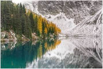 Larches at Alpine Lake