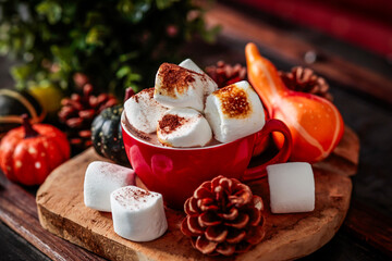 Cozy winter drink, Hot chocolate with marshmallow with chocolate sauce on top in red mug isolated on wooden table with autumn decoration, dark background.