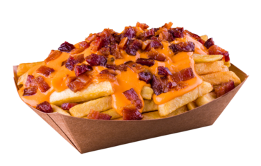 Delicious Loaded Fries With Cheese and Crispy Bacon Toppings