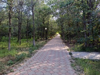 path in the park