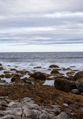 Waves on the Barents sea