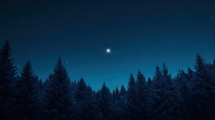 Bright star shining above silhouette of snow-covered pine trees against dark blue night sky