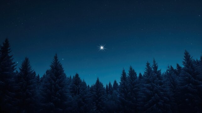 Bright star shining above silhouette of snow-covered pine trees against dark blue night sky