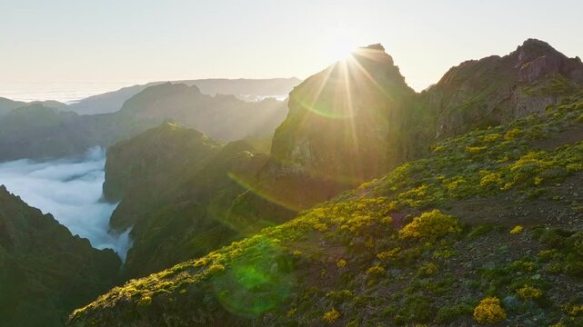 Aerial view at Pico do Arieiro of mountains over clouds with blooming Cytisus shrubs on sunset with sunburst. Madeira island, Portugal. Orbit parallax shot