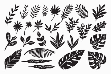 Set of leaves botanical silhouettes vector illustration