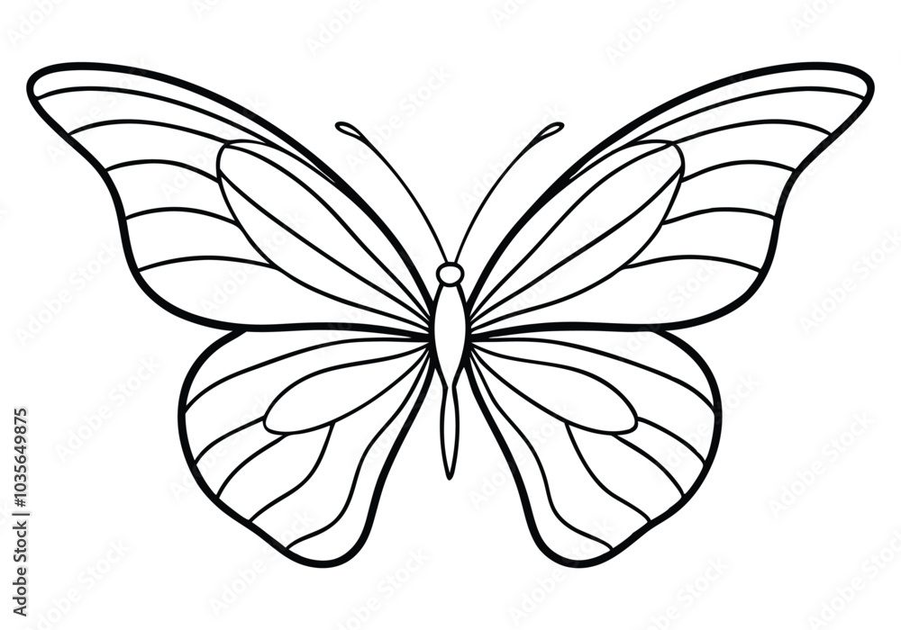 Poster continuous line art of a butterfly wing pattern – elegant minimalist vector